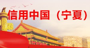 行政审批事项