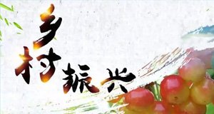 政府信息公开申请