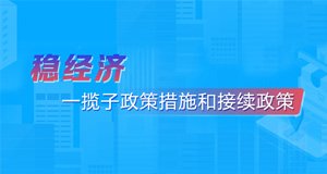 政府信息公开年报