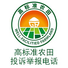 欧洲杯在线买球-欧洲杯（中国）