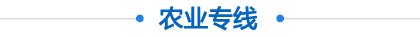 李强主持召开国务院常务会议
