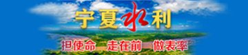 NINGXIA WATER CONS