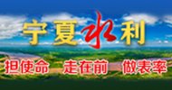 NINGXIA WATER CONS